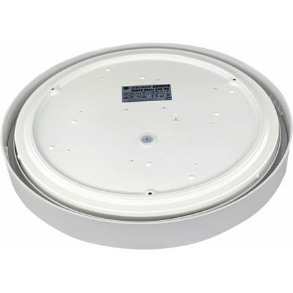 Світлодіодний стельовий світильник SAMER LED/24W/230V 4000K
