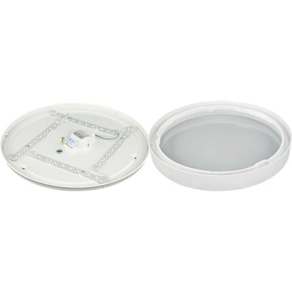 Світлодіодний стельовий світильник SAMER LED/24W/230V 4000K