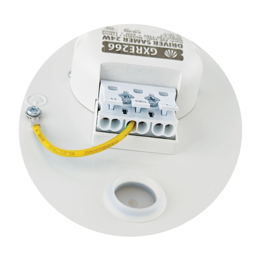 Світлодіодний стельовий світильник SAMER LED/24W/230V 4000K
