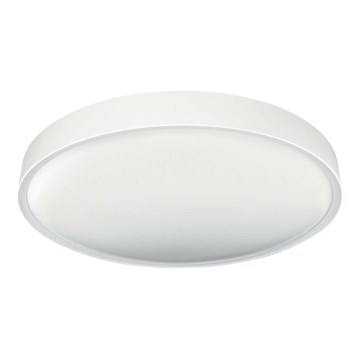Світлодіодний стельовий світильник SAMER LED/32W/230V 4000K
