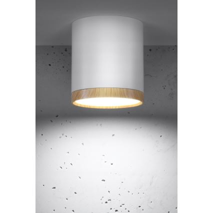 Світлодіодний стельовий світильник TUBA LED/5W/230V біла/бежева