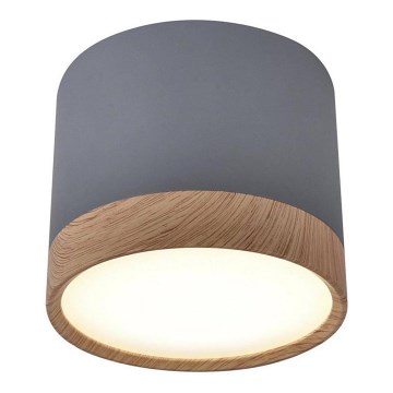 Світлодіодний стельовий світильник TUBA LED/9W/230V