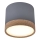 Світлодіодний стельовий світильник TUBA LED/9W/230V