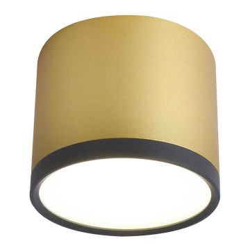 Світлодіодний стельовий світильник TUBA LED/9W/230V