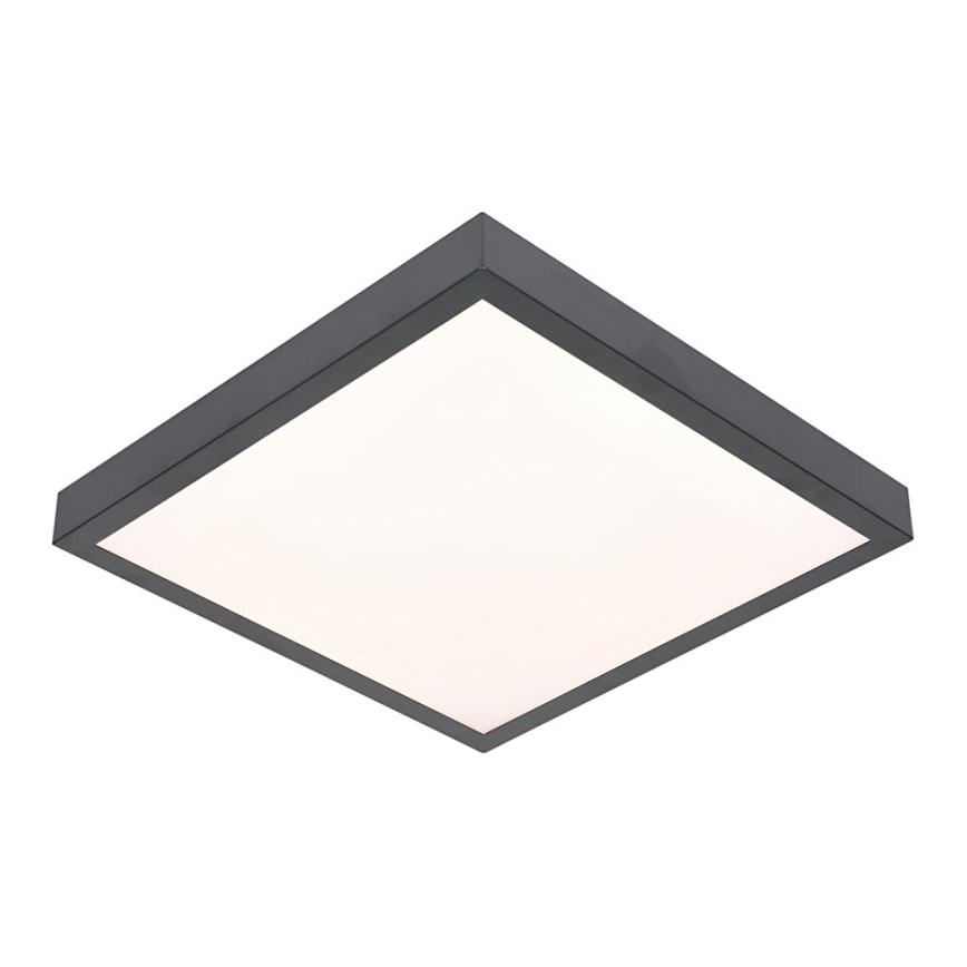 Світлодіодний стельовий світильник VITALI LED/24W/230V