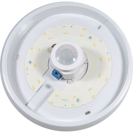 LED стельовий світильник з датчиком руху та датчиком сутінків LED/12W/230V