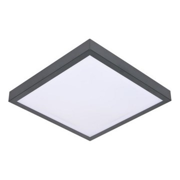 Світлодіодний стельовий світильник з датчиком VITALI LED/24W/230V 4000K