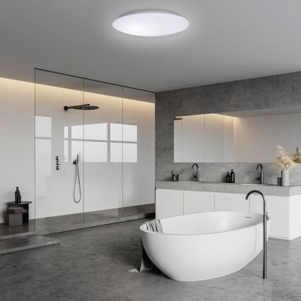 Світлодіодний стельовий світильник з датчиком AVESTA LED/12W/230V 4000K IP54