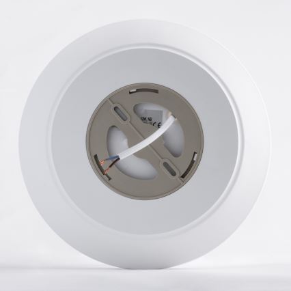 Світлодіодний стельовий світильник з датчиком AVESTA LED/12W/230V 4000K IP54