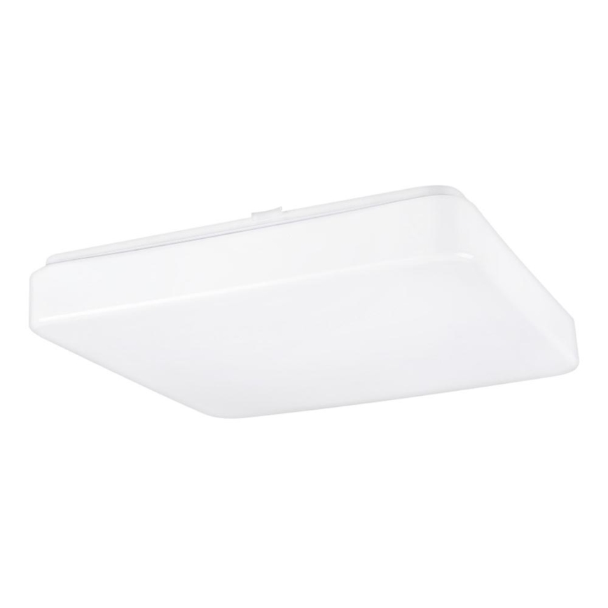 Світлодіодний стельовий світильник з датчиком DAISY NAL LED/18W/230V 4000K