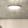 Світлодіодний стельовий світильник з регулюванням яскравості ESTELA LED/36W/230V діаметр 30 см білий + пульт дистанційного керування