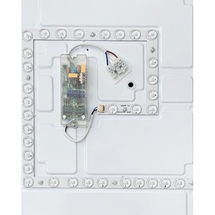 Світлодіодний стельовий світильник з регулюванням яскравості FLORA LED/60W/230V 2700-6500K 53x53 см + пульт дистанційного керування