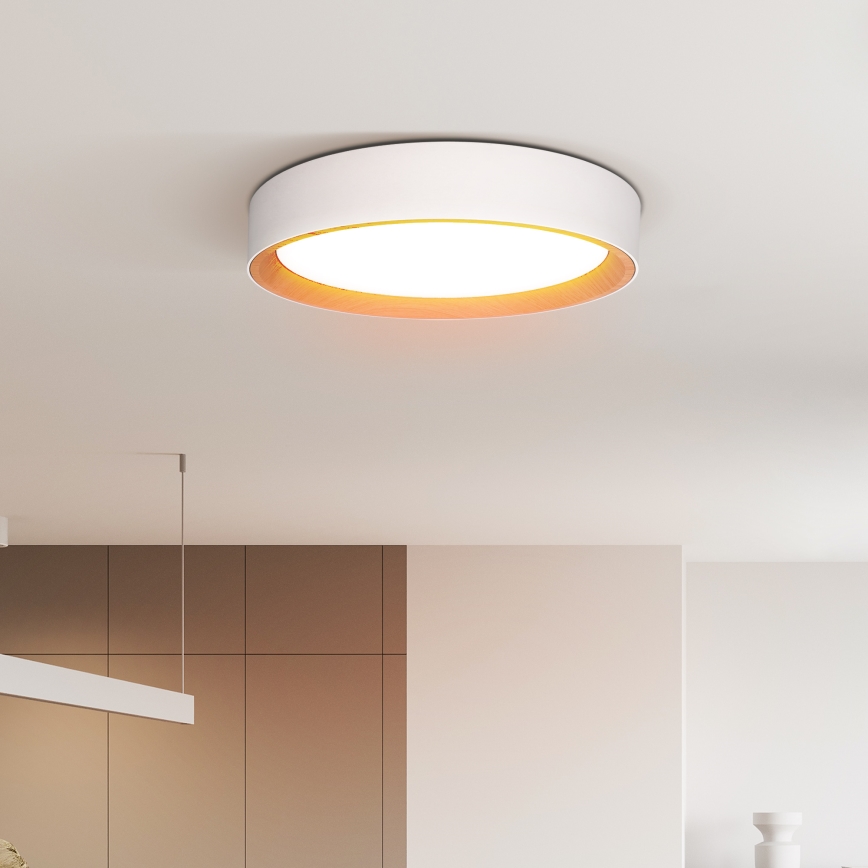 Світлодіодний стельовий світильник з регулюванням яскравості LARIOS LED/48W/230V 3000-6500K діаметр 39 см білий + пульт дистанційного керування