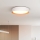 Світлодіодний стельовий світильник з регулюванням яскравості LARIOS LED/48W/230V 3000-6500K діаметр 39 см білий + пульт дистанційного керування