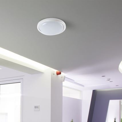 Світлодіодний стельовий світильник з регулюванням яскравості LED/60W/230V 3000-6500K 49,2 см білий + пульт дистанційного керування