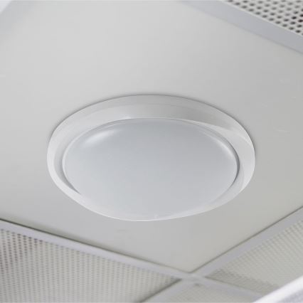Світлодіодний стельовий світильник з регулюванням яскравості LED/60W/230V 3000-6500K 49,2 см білий + пульт дистанційного керування
