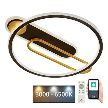 Світлодіодний стельовий світильник з регулюванням яскравості LED/60W/230V 3000-6500K чорний + пульт дистанційного керування