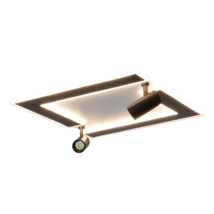 Світлодіодний стельовий світильник з регулюванням яскравості LED/80W/230V 3000-6500K чорний + пульт дистанційного керування