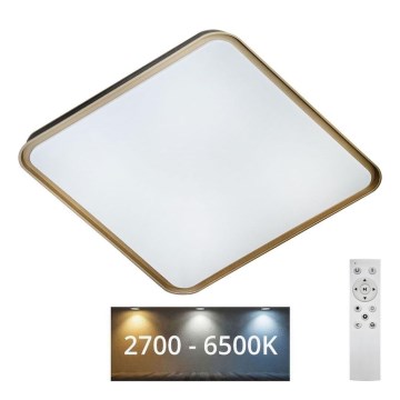 Світлодіодний стельовий світильник з регулюванням яскравості UNA LED/60W/230V 2700-6500K 50x50 см + пульт дистанційного керування