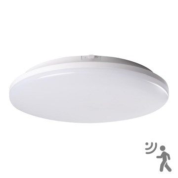 Світлодіодний світильник для ванної кімнати з датчиком STIVI LED/24W/230V IP65