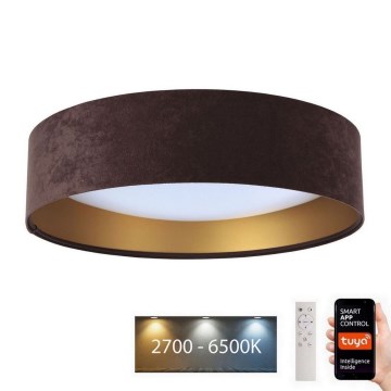 Світлодіодний світильник з регулюванням яскравості SMART GALAXY LED/24W/230V Ø 45 см Wi-Fi Tuya + дистанційне керування