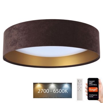 Світлодіодний світильник з регулюванням яскравості SMART GALAXY LED/36W/230V Ø 55 см Wi-Fi Tuya + дистанційне керування
