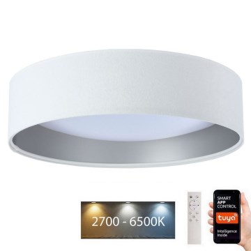 Світлодіодний світильник з регулюванням яскравості SMART GALAXY LED/36W/230V Ø 55 см Wi-Fi Tuya + дистанційне керування