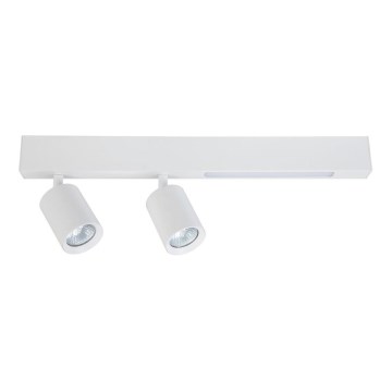 Світлодіодний точковий світильник MAGNET LED/5W/230V + 2xGU10/60W 3000/4000K білий