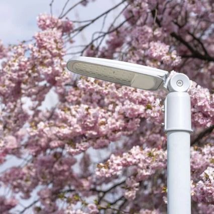 Світлодіодний вуличний ліхтар SOLIS LED/30W/230V 4000K IP65