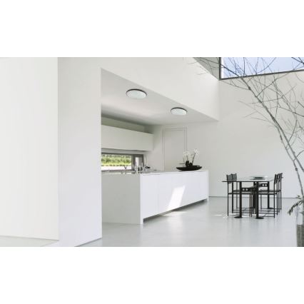 Світлодіодний вуличний стельовий світильник NYMPHEA LED/32W/230V IP54 3000K