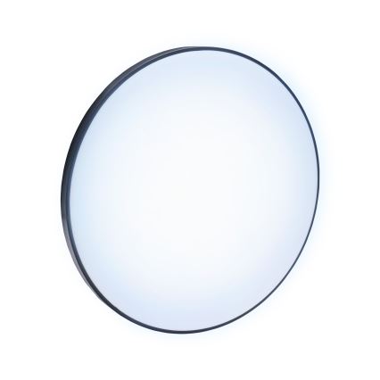 Світлодіодний вуличний стельовий світильник NYMPHEA LED/32W/230V IP54 6000K