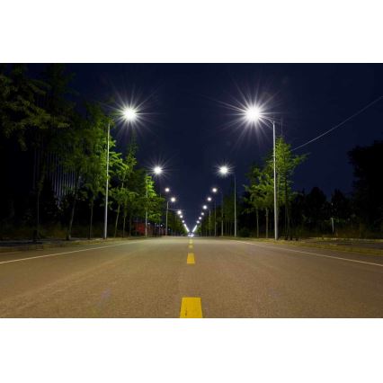 Світлодіодний вуличний ліхтар BOSTON LED/35W/230V IP65