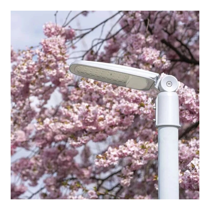 Світлодіодний вуличний ліхтар SOLIS LED/50W/230V 4000K IP65