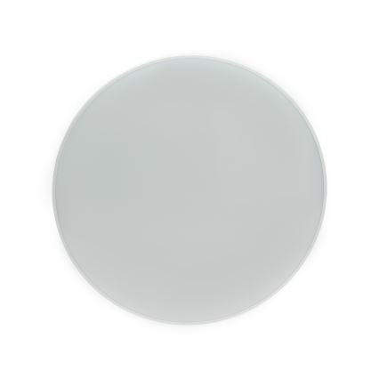 Світлодіодний вуличний стельовий світильник NYMPHEA LED/32W/230V IP54 6000K