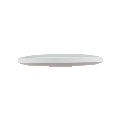Світлодіодний вуличний стельовий світильник NYMPHEA LED/32W/230V IP54 6000K