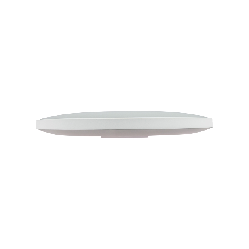 Світлодіодний вуличний стельовий світильник NYMPHEA LED/32W/230V IP54 6000K