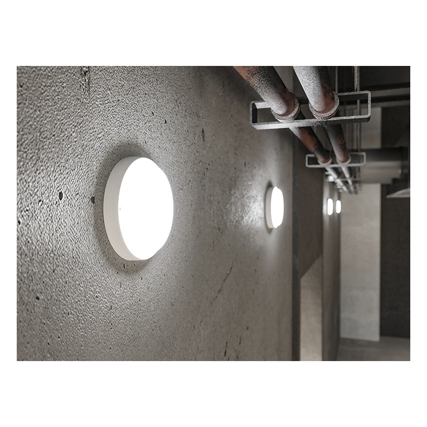 Світлодіодний зовнішній настінний світильник LED/9W/230V IP54 білий