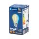 Світлодіодна лампочка FILAMENT G45 E27/4,5W/230V 2700-6500K - Aigostar