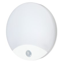 Світлодіодний настінний світильник для ванної кімнати з датчиком ORBIS LED/10W/230V IP44