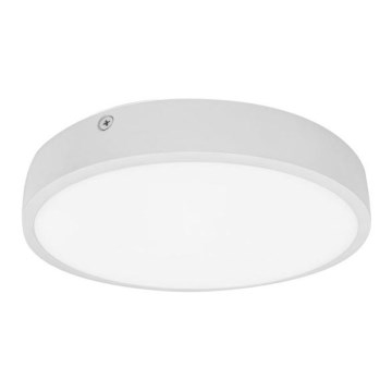 Світлодіодний стельовий світильник для ванної кімнати EGON LED/16W/230V IP44 3000K