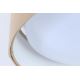 Світлодіодний стельовий світильник GALAXY 1xLED/24W/230V діаметр 44 см бежевий/білий