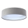 Світлодіодний стельовий світильник GALAXY 1xLED/20W/230V сіра/біла
