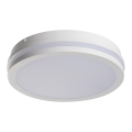 Світлодіодний вуличний світильник BENO LED/24W/230V IP54 біла