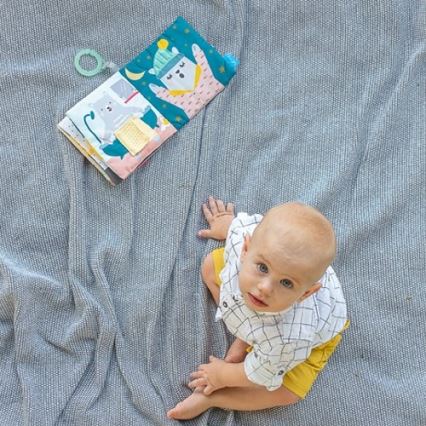 Taf Toys - Детская текстильная книга медведь