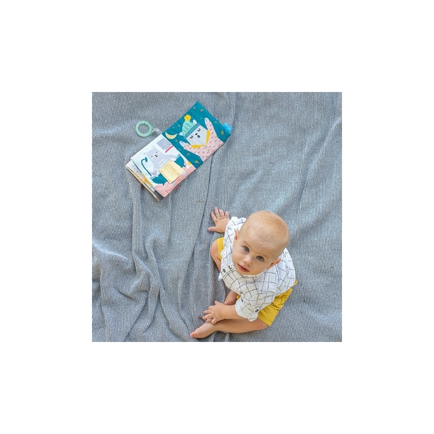 Taf Toys - Детская текстильная книга медведь