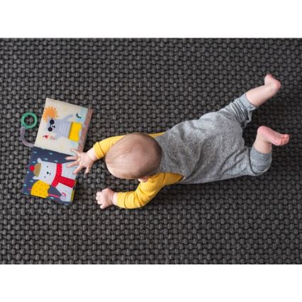 Taf Toys - Детская текстильная книга медведь