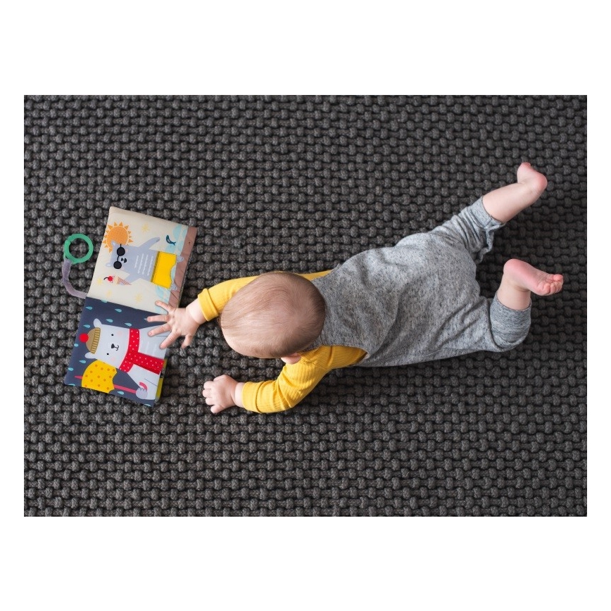 Taf Toys - Детская текстильная книга медведь