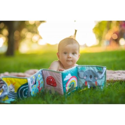 Taf Toys - Дитяча текстильна книга 3в1 коала