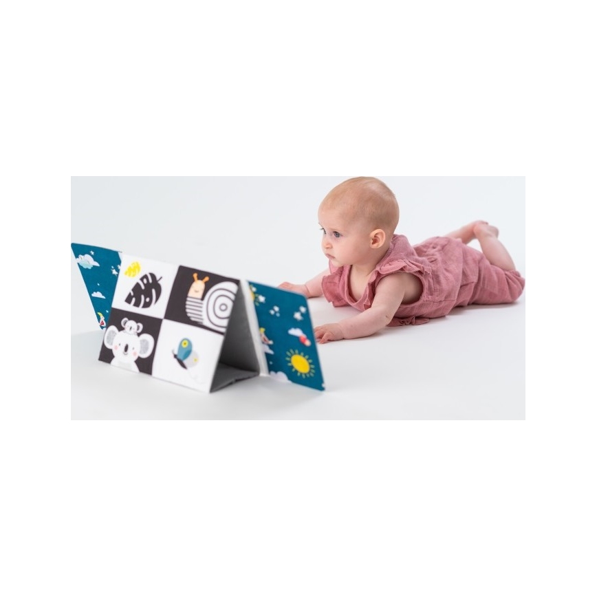 Taf Toys - Дитяча текстильна книга з дзеркальцем чорний