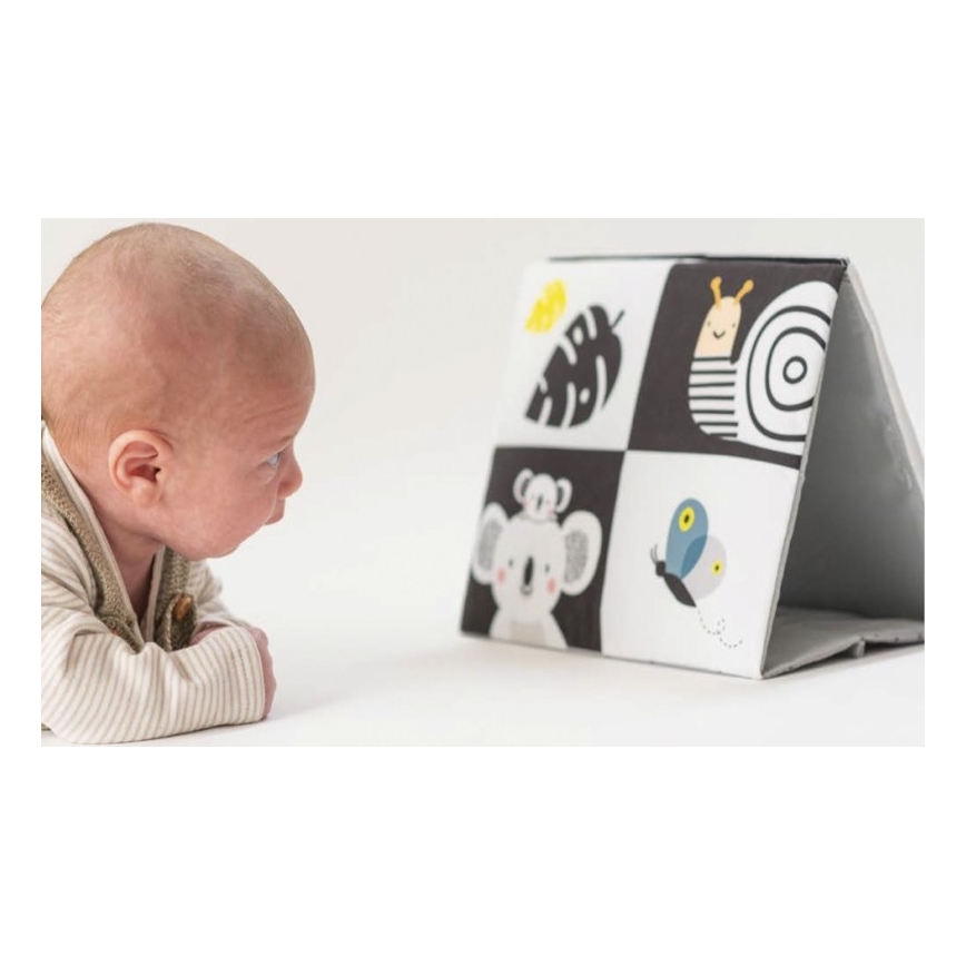 Taf Toys - Дитяча текстильна книга з дзеркальцем чорний